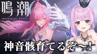 【#鳴潮】289 音骸厳選、するよ【#ぶいきゃす杯 】 #PR #冬陽リッカ