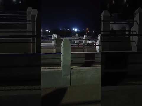 #viral #horse #shortvideo ##animals ##anime ##cartoon ##pets