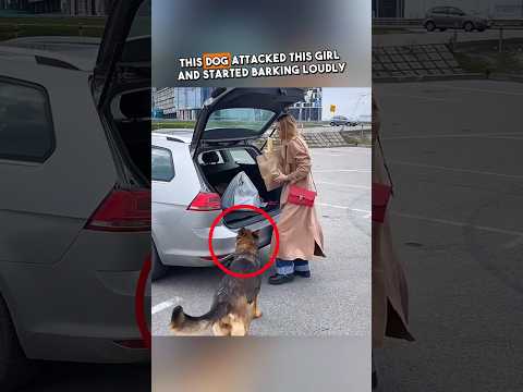 You won't believe what the dog wanted from her! 😱