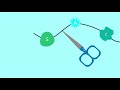 Protein Structure and Sequencing Concepts