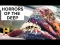 Mysteries of the Deep: Legendary Creatures and Unexplained Phenomena