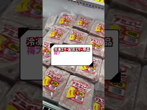 YouTuberさん応援！YouTube割スタート✨