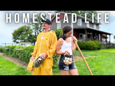 Success Is In The Small Things: How We’re Building a Life Off The Land