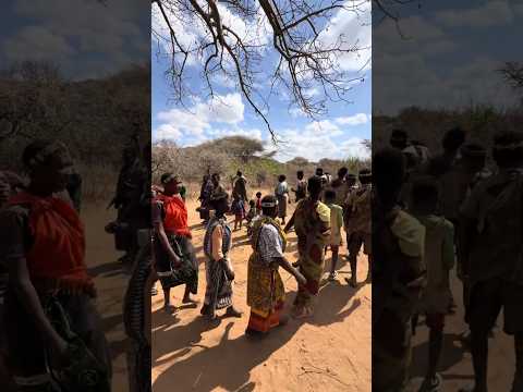 Why African Tribes Move Every Two Weeks with 3000 Cows #shortsvideo