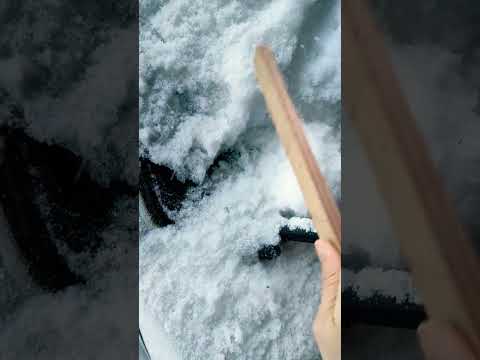 雪国豪雪地帯　やってられない#shorts #雪国#田舎暮らし