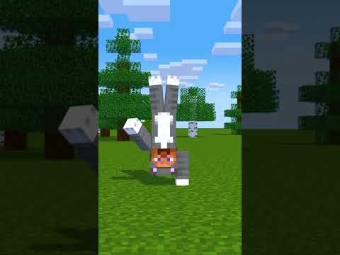 Types of people in Indian PT3 (Minecraft Animation) #notyourtype