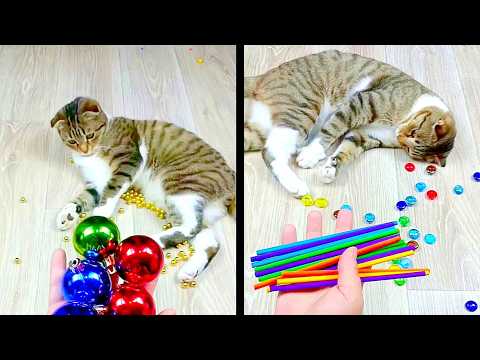 Satisfying Reverse Video ASMR 💥 Marble Run and More