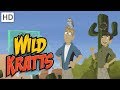 Animal Adaptations and Survival Strategies