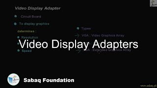 Video Display Adapters
