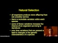 Natural Selection and Artificial Selection