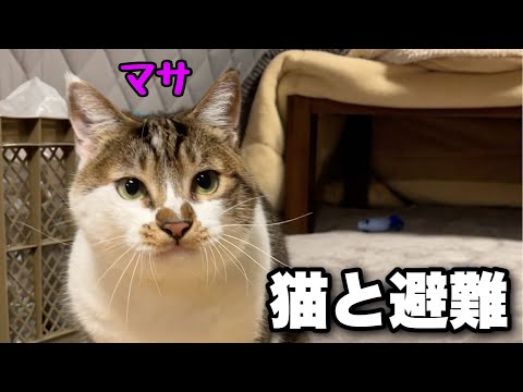 【猫と車中泊】冬の寒い夜に車に避難｜自作キャンピングカーで猫と過ごす静かな夜｜災害対策・防災に【EcoFlow DELTA3 Plus】