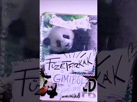 Gyűjtemény a gimis füzetfirkáimból ✍️ #sketches #rajz #firka