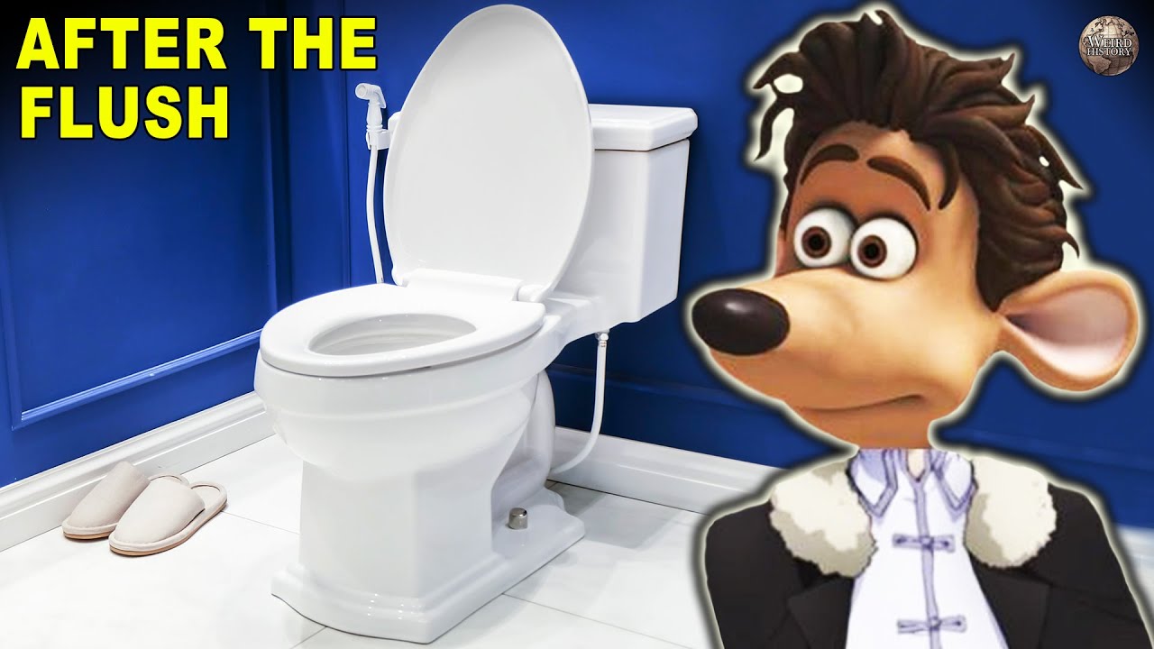 All The Weird Things That Happen After You Flush The Toilet