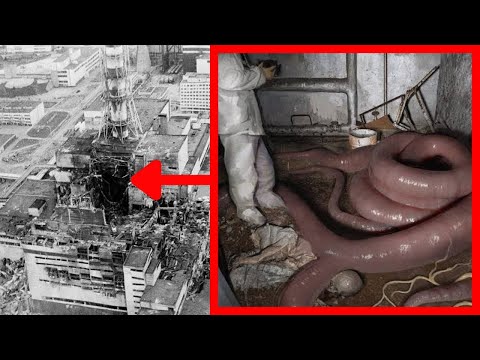 Os Terríveis Animais Mutantes de CHERNOBYL Capturados em vídeo