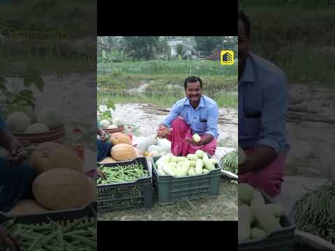 ഞങ്ങൾ സന്തുഷ്ടരാണ്! വീടിനോട് ചേർന്ന് കൃഷി ഒരുക്കി, ഇപ്പോൾ ആനന്ദവും ആരോഗ്യവും തരുന്നു ഈ കൃഷി