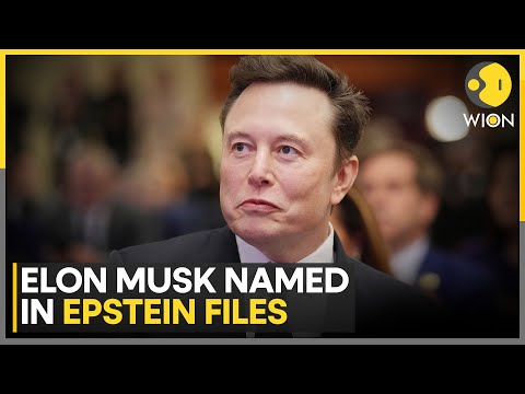 Epstein Files: Elon Musk, Steve Bannon, Peter Thiel Named In New Documents | WION