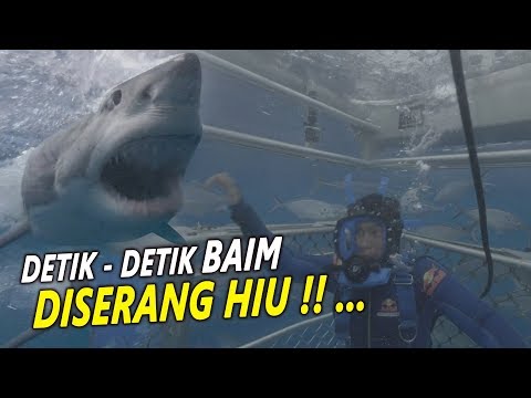 DARI KECIL BAIM TAKUT SAMA HIU !! DITANTANG ANYA GERALDINE MASUK KE DALAM KANDANG HIU !!
