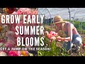 Beneficial Plants and Growing Techniques