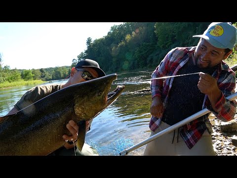 Mira La Fuerza De Estos Peces, Pesca De Salmon Rey