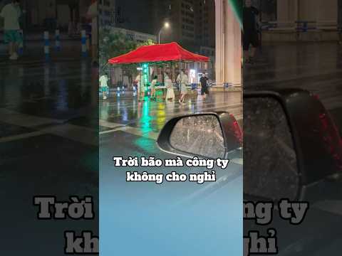 Trời bão mà công ty không cho nghỉ | Hi Hoa