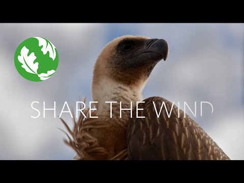 Share The Wind