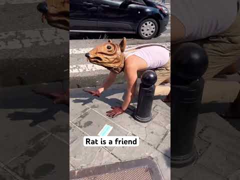 Rats are only nice to everyone! #buddytherat #newyork #shorts