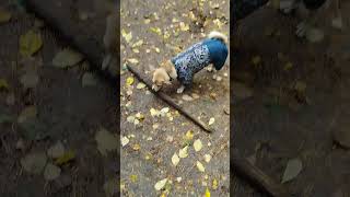 8 августа 2024 г.