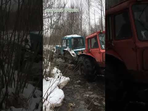 Танки грязи не боятся.#shorts