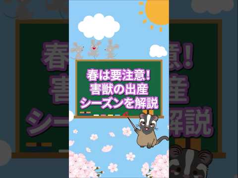 春は要注意!害獣の出産シーズンを解説#駆除ザウルス #害獣