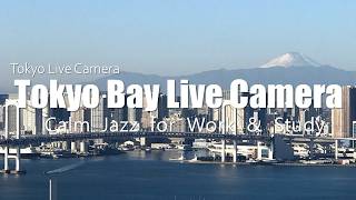 東京湾の景色で集中｜作業・勉強がはかどるライブ配信｜Tokyo Live Camera Mt.Fuji & Rainbow Bridge