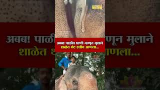 अबब! पाळीव प्राणी म्हणून मुलाने शाळेत थेट हत्तीच आणला...| Elephant In School