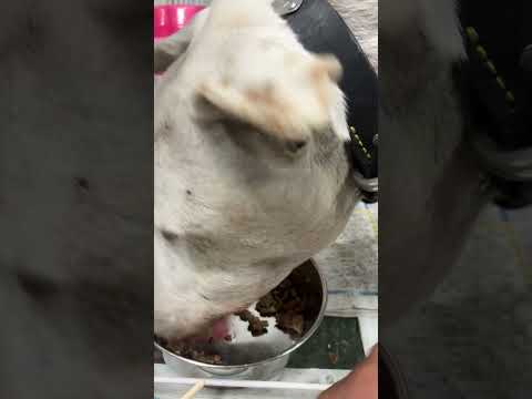 ご心配おかけしております