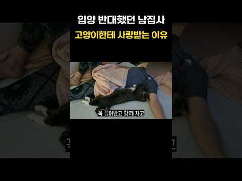 그렇게 서로 스며들었다..