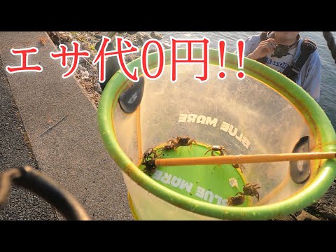 #412【落とし込み】エサ代ゼロ!!これぞ漢のロマン？自給自足で魚狙ってみたら・・・