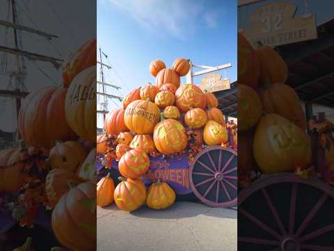 【公式】「ディズニー・ハロウィーン」のデコレーションをご紹介 | 東京ディズニーリゾート/Tokyo Disney Resort