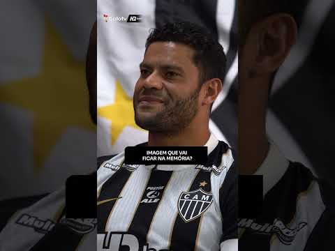 image para ilustrar o artigo