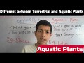 Understanding Plants: Terrestrial and Aquatic
