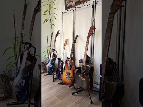 Collection guitares et basse