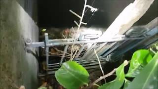 BunkerTeam Flensburg - Versteckter Zugang in Deckungsgraben entdeckt