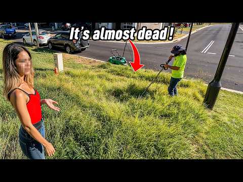 Her yard became a Disaster after her Mower Broke, she Couldn’t fix It Alone