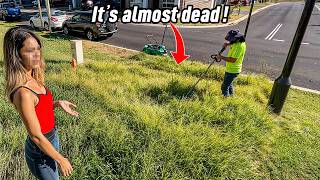 Her yard became a Disaster after her Mower Broke, she Couldn’t fix It Alone