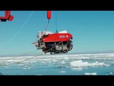 Science in Action: Slimeballs in the Arctic Sea | California Academy of Sciences