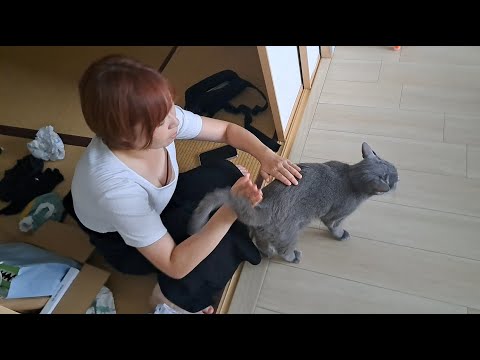ママの『すっぺんぺんぺん すぺぺぺぺんぺん』