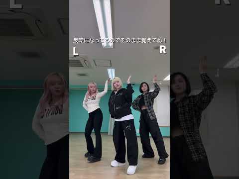 【反転】モナキ - ほんまやで☆なんでやねん☆しらんけど 踊ってみた！#shorts