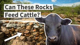 Regreening Desert Ranchlands: One Rock at a Time