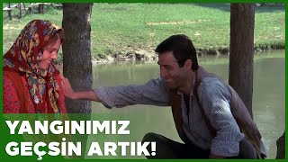 Şark Bülbülü Türk Filmi | Hatice ile Şaban Bir An Önce Kavuşmak İstiyor!