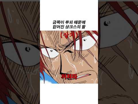 금쪽이 루피 때문에 없어진 샹크스의 팔