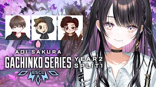 【 APEX 】#ASGS大会 スクリム8日目 with NevvtonXさん / ねくすとさん / めんどさん【 薬師乃しの / ぱらすと