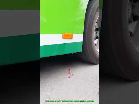 This is exactly why Indians aren’t given bus licenses in Dubai #shortvideo