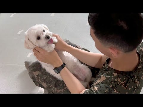 강아지는 첫 휴가나온 오빠를 기억할까요?